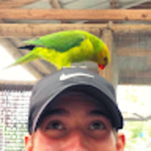 Meet your Posher, Benjamin